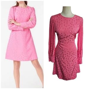 LAST CHANCE - J. Crew Pink Long Sleeved Swirl Dress
